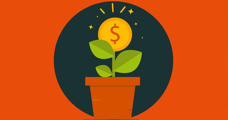Geld Wachstum Pflanze Investition Profit