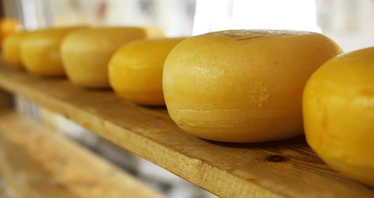 Käse Cheese Fromage