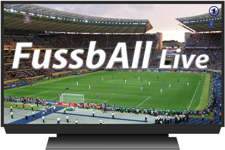 Fussball-EM-Spiele live anschauen (Frankreich 2016)