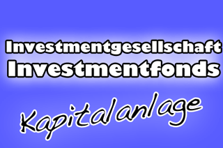 Investmentgesellschaft Schweiz Definition