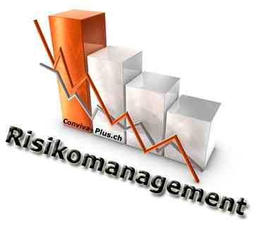 Risikomanagement Unternehmen