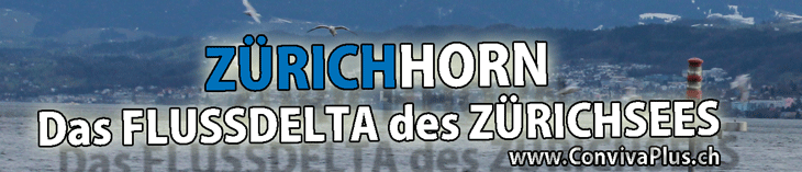 Zürichhorn - Zürichsee Flussdelta