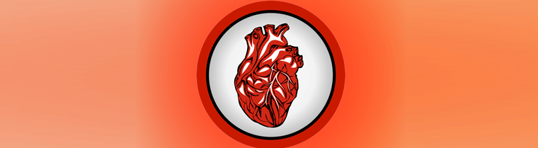 Herz Organ Kreislauf Gesundheit
