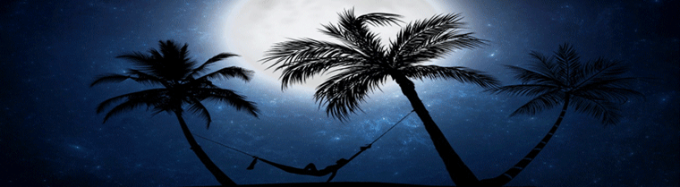 Palmen Insel Hängematte