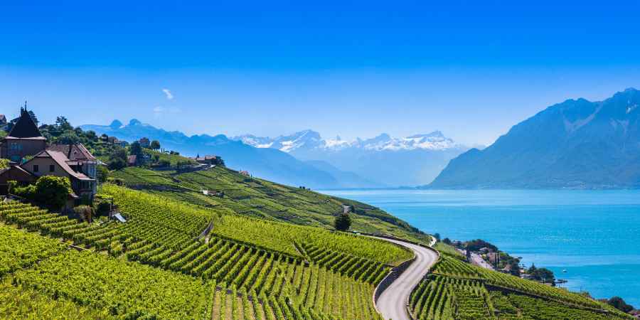 Lavaux Weinberg-Terrassen am Genfersee