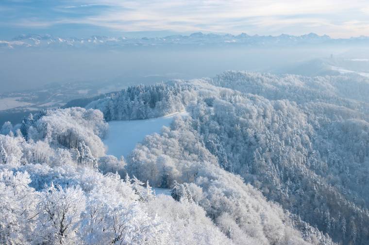 Uetliberg: Verschneite Albiskette – perfekte Bedingungen zum Schlitteln Verschneite Albiskette am Uetliberg bei Zürich – Winterlandschaft mit Blick auf den Schlittelweg