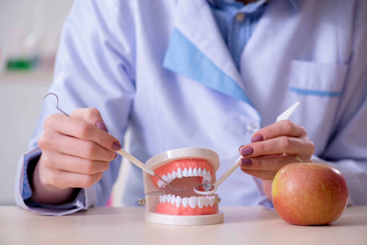 Zahnarzt praktiziert Arbeit am Zahnmodell