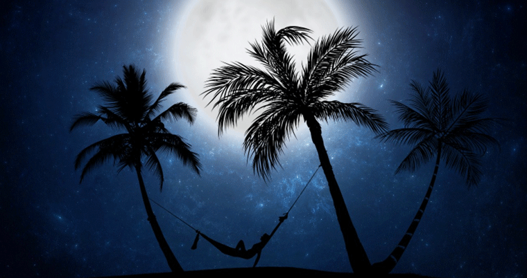 Hängematte Mond Urlaub Palmen Strand Ferien