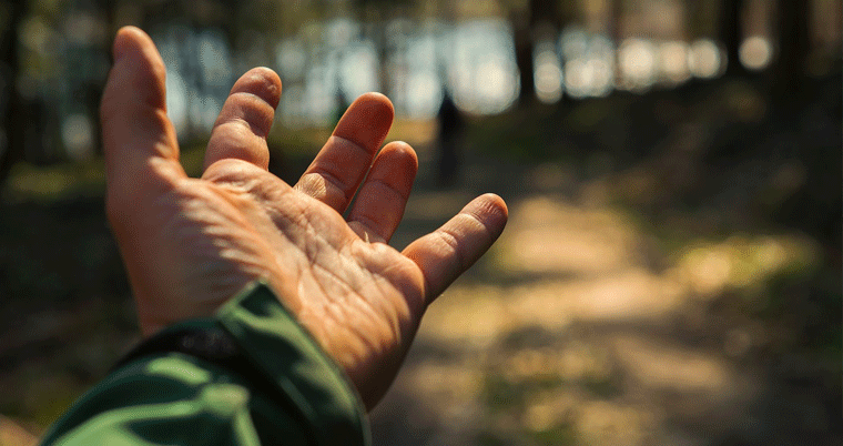 Hand Mensch Sonne Natur