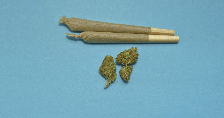 Marihuana Joints Cannabis Gras Kiffer