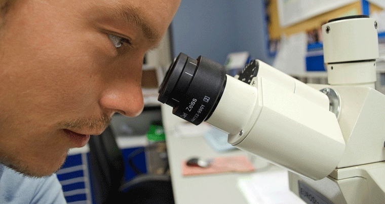 Mikroskop Labor Forscher Coronavirus