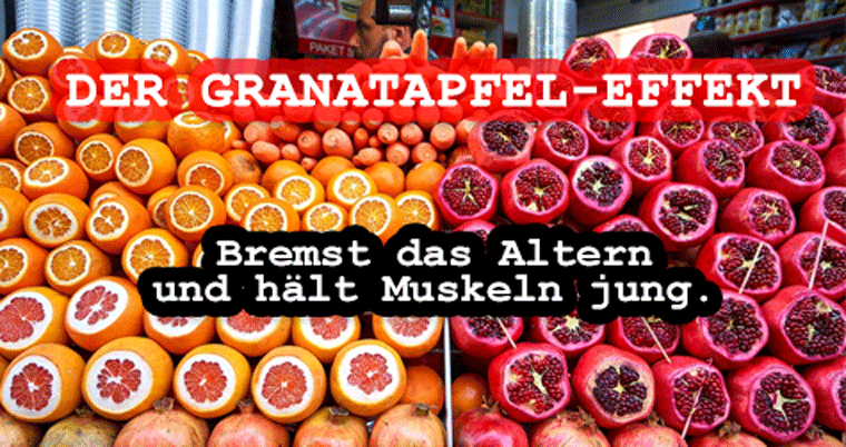 Die Granatapfel-Wirkung