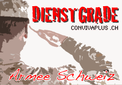 Dienstgrade Armee Schweiz