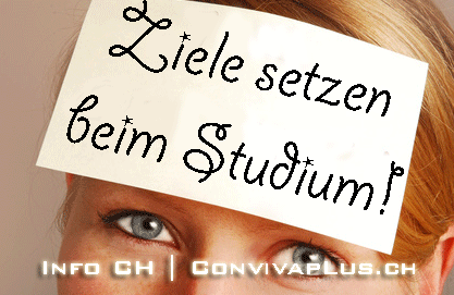 Studium Ziele setzen