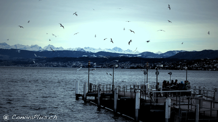 Bürkliterrasse Zürich - Aussicht auf den Zürichsee und die Glarner Alpen