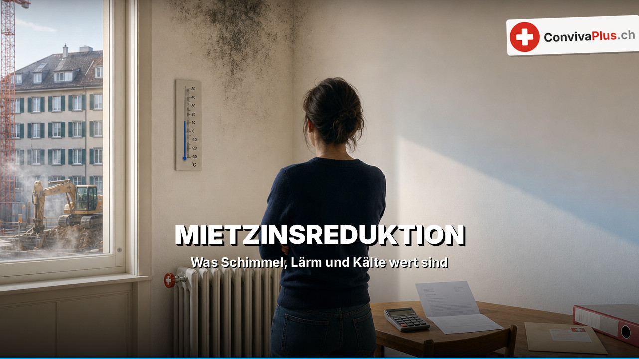 Eine Frau steht mit verschränkten Armen vor einer Wand mit Schimmelflecken in der Ecke; durchs Fenster eine Baustelle mit Bagger und Gerüst, an der Wand ein Thermometer, darunter ein Heizkörper und ein Tisch mit Brief, Taschenrechner und Ordner