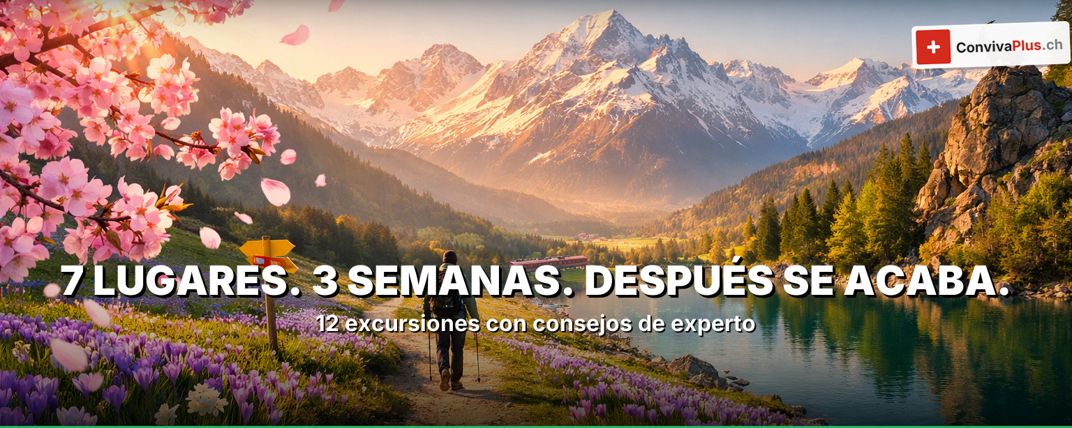 Excursiones de primavera en Suiza: cerezos en flor en Zúrich, azafranes en el Emmental, narcisos en Montreux y cascadas del deshielo