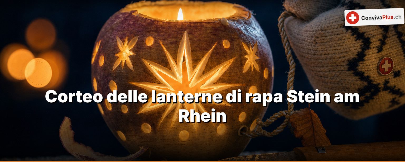 Corteo delle lanterne di Stein am Rhein: la voce di cui sappiamo di meno